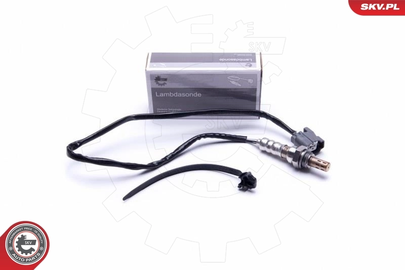 Oxygen Sensor